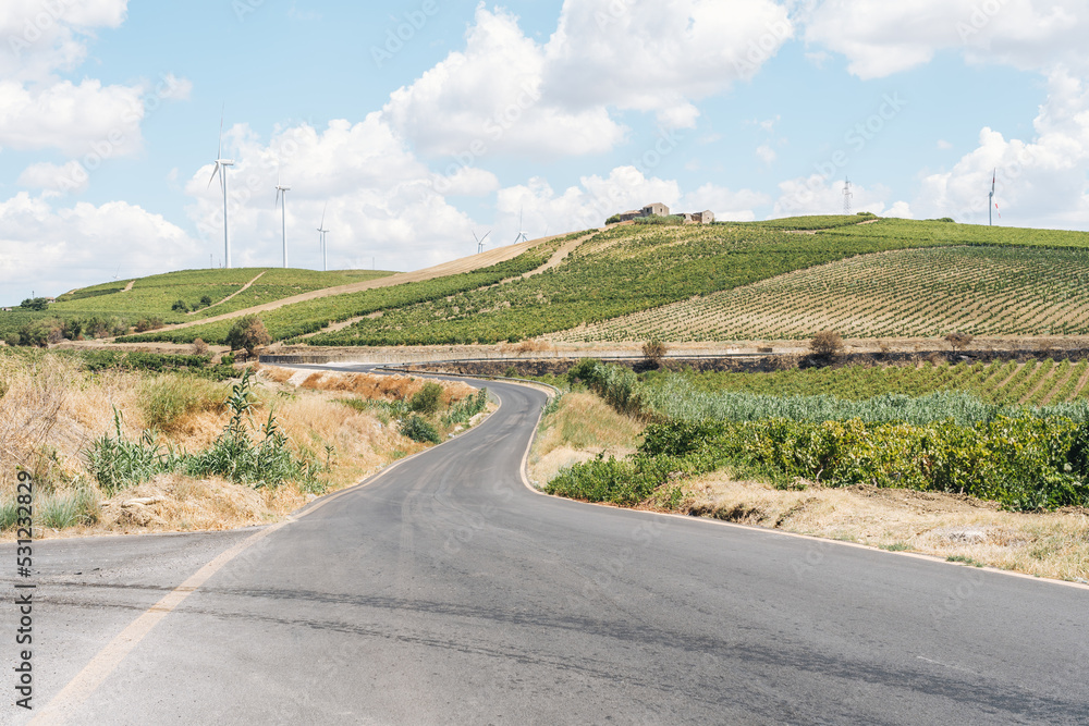 Landscape on the road surrounded by vineyards in marsala, Sicily