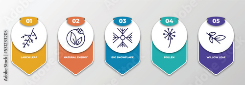 infographic template with thin line icons. infographic for nature concept. included larch leaf, natural energy, big snowflake, pollen, willow leaf editable vector.