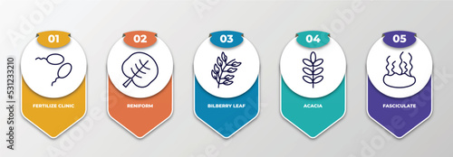 infographic template with thin line icons. infographic for nature concept. included fertilize clinic, reniform, bilberry leaf, acacia, fasciculate editable vector.