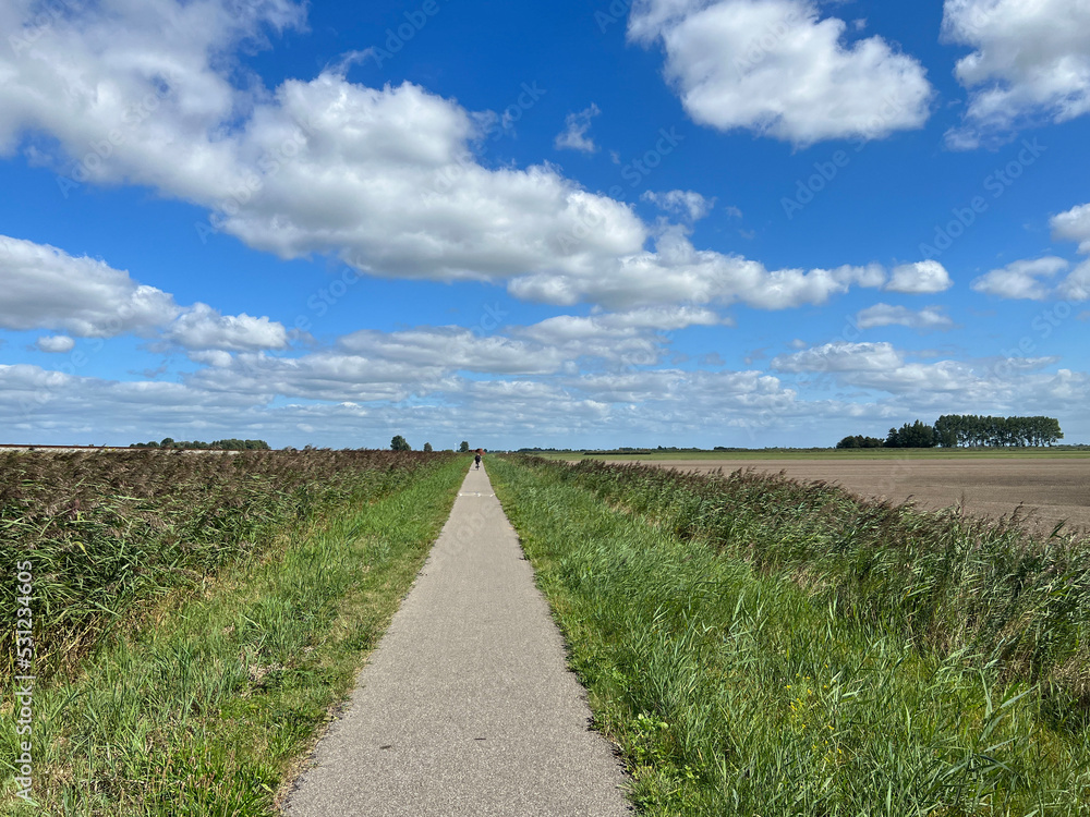Obraz premium Bicycle path around Oudega