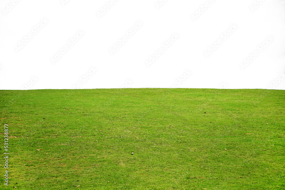 Landscape of green grass fields on white background
