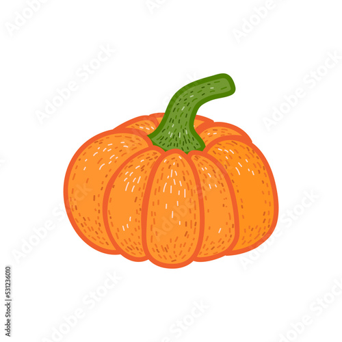 Orange pumpkin isolated on white background