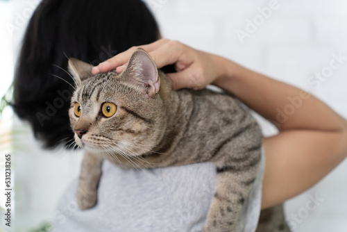Woman holding a cute cat in the house.