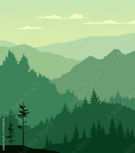 forest in the mountains © Sergey