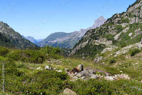 Beautiful aerial view over Gadmer Valley, Canton Bern, at Swiss mountain pass on a sunny summer day. Photo taken July 13th, 2022, Susten Pass, Switzerland.