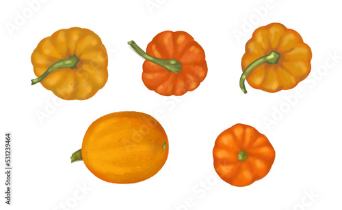 Pumpkin set, vegetables isolated