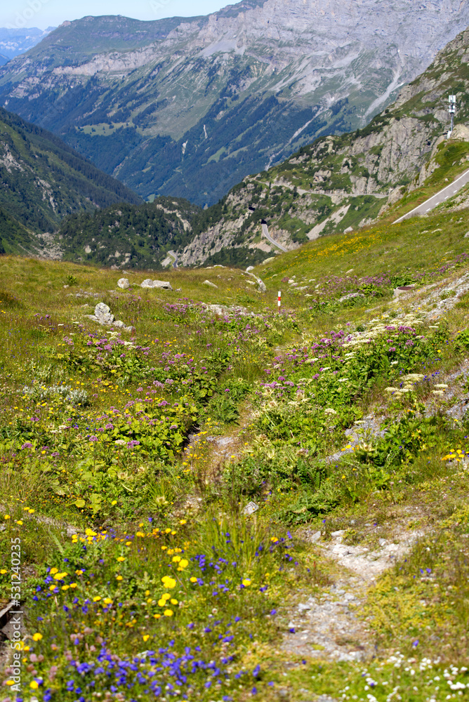 Beautiful scenic view of mountain panorama with mountain pass road at Swiss mountain pass Sustenpass on a sunny summer day. Photo taken July 13th, 2022, Susten Pass, Switzerland.