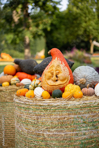 funny carved Halloween pumpkins