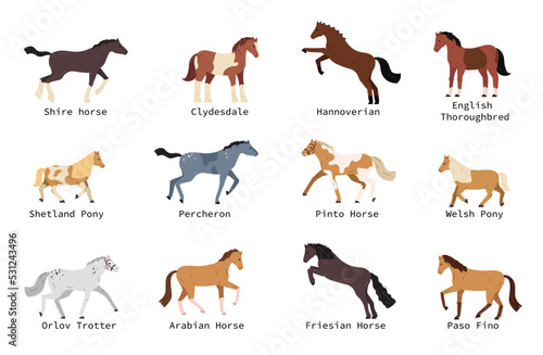 Horse Breeds Set