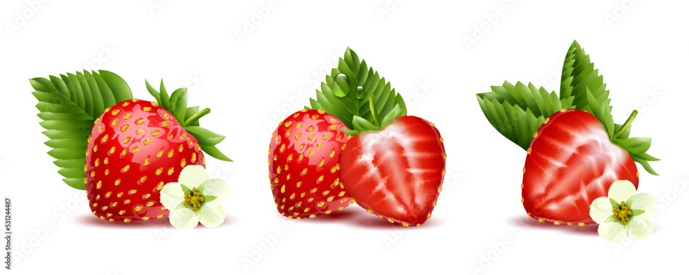 Strawberry Realistic Compositions Strawberry Realistic Compositions