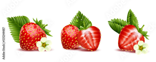 Strawberry Realistic Compositions