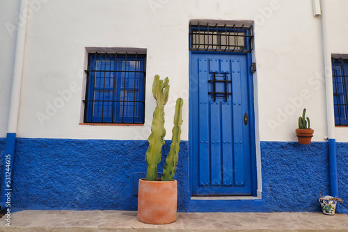White and blue Andalusian house with a cactus 