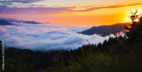 Static aerial panoramic view of sun riser above horizon with clouds above forest. Weather and forecast background