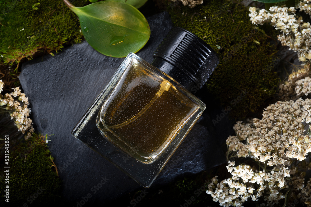 perfume bottles around green moss, flowers and leaves . close up. perfumery concept
