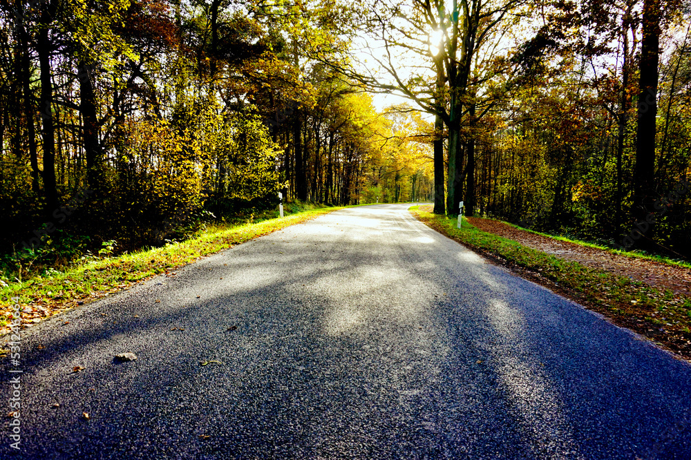 Obraz premium Herbstlicher Wald an einer Strasse mit leichter Kurve perspektivisch mittig im Bild gesäumt von zahlreichen Bäumen noch viele Blätter daran rot gelb orange grün sonnendurchflutet 