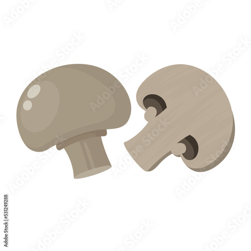 button mushroom flat vector illustration clipart isolated on white background