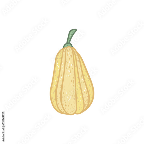 Handdrawn white yellow pumpkin on a white background