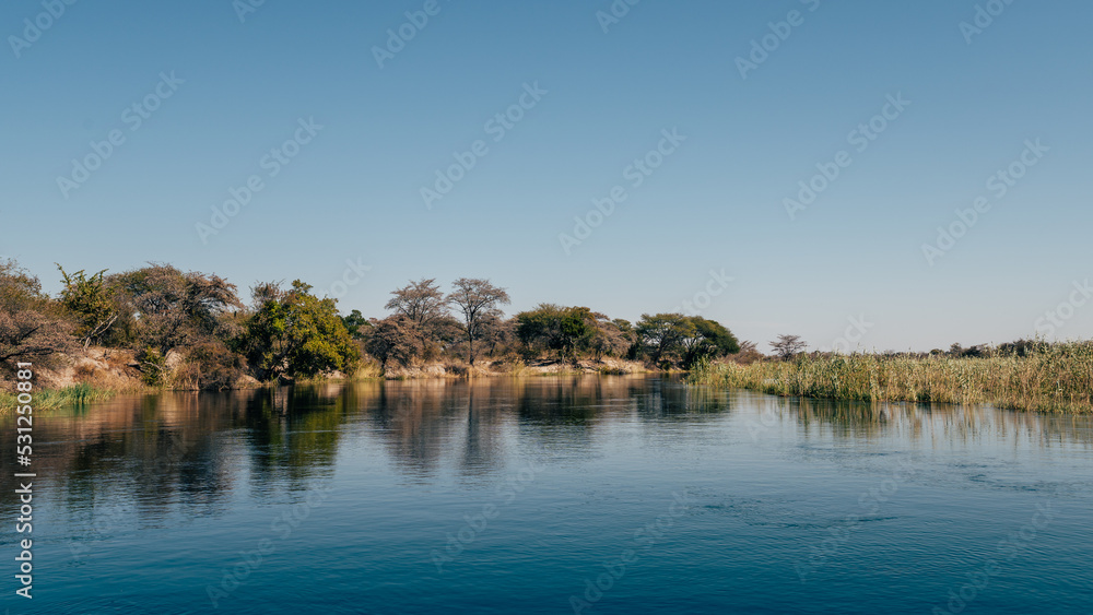 Obraz premium Blick vom Boot aus in Richtung Uferlandschaft (Kwando Fluss, Caprivi, Namibia)