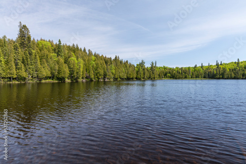 Lake Benson Scenic Landscape