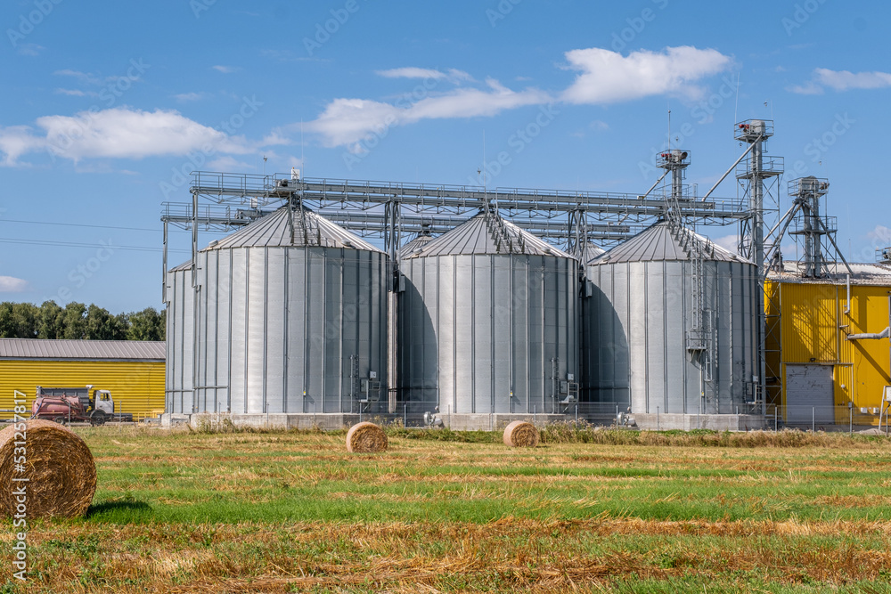 Agro silos granary elevator with seeds cleaning line on agro-processing manufacturing plant for processing drying cleaning and storage of agricultural products in rye corn or wheat field Agro silos granary elevator with seeds cleaning line on agro-processing manufacturing plant for processing drying cleaning and storage of agricultural products in rye corn or wheat field