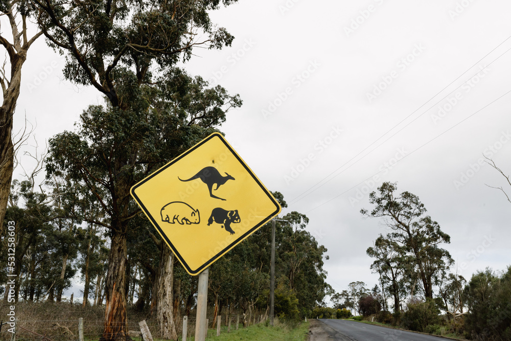 A yellow sign on the side of an Australian road warning traffic of native animals, pictured is a kangaroo, Koala and a wombat.  horizontal photo with room for copy space to the side