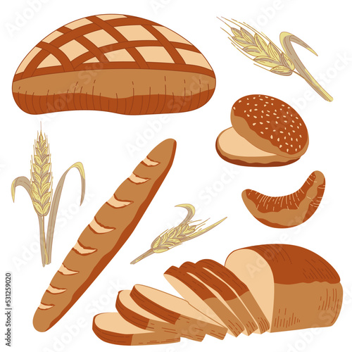 Set of bakery products. Collection of bread. Loaf of round rye bread, burger bun, baguette, french croissant. Bread and wheat spikes. Vector illustration for bakery, food design