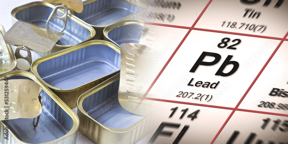 Foto de Presence of lead in canned food - HACCP (Hazard Analyses and 