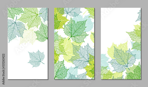 Set of abstract backgrounds. Botanical art. Floral vector templates with autumn leaves. Plant print for holiday stories, greeting cards, banners. Natural trendy web-design. 