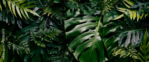Schilderij op canvas Tropical leaves, bush of jungle forest, dark green nature background