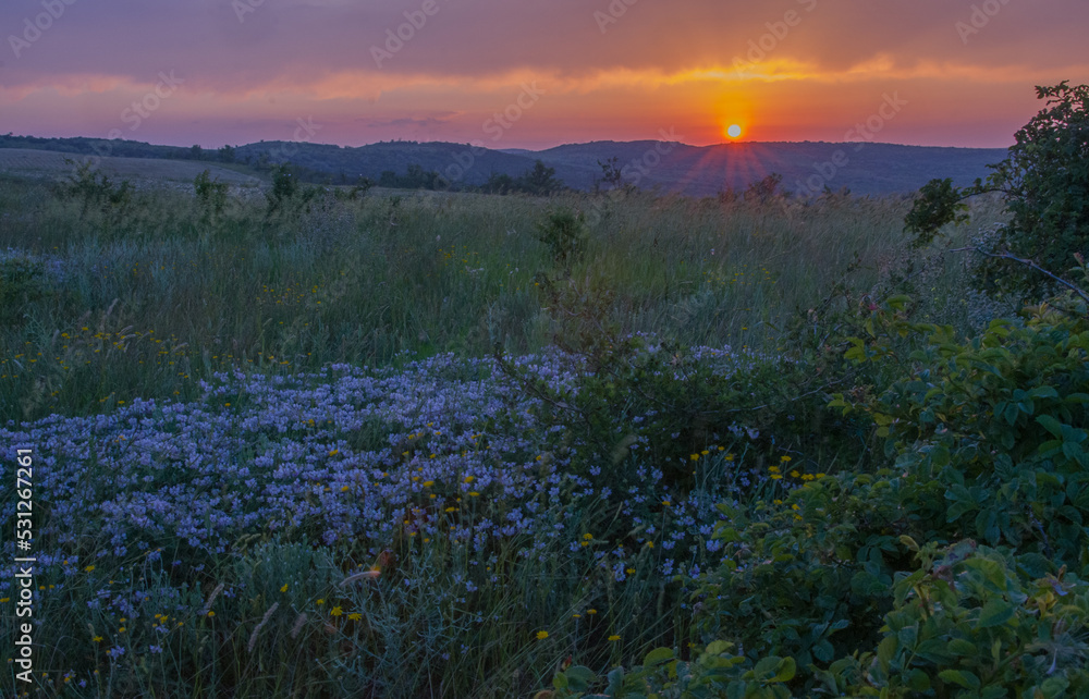 Obraz premium sunset over the field