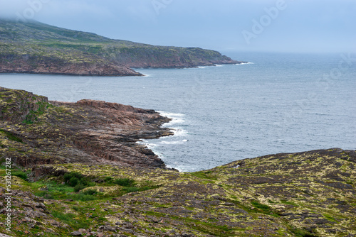 Summer tundra. Rocky coastline of Barents Sea near Teriberka. Scenery of Russian North. Kola Peninsula, Murmansk Oblast, Russia