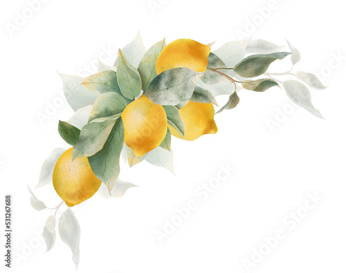Lemon watercolor bouquet. composition Watercolor lemon fruit  and leaf for wedding invitation? greating card, decoration.