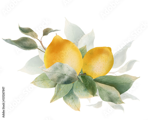 Lemon watercolor bouquet. composition Watercolor lemon fruit  and leaf for wedding invitation? greating card, decoration.