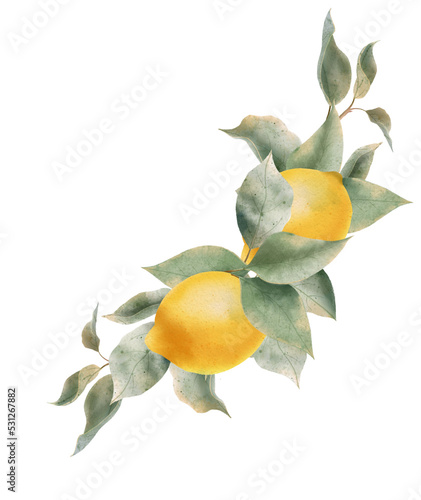 Lemon watercolor bouquet. composition Watercolor lemon fruit  and leaf for wedding invitation? greating card, decoration.