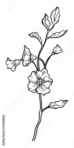 illustration vector knife weapon black and white