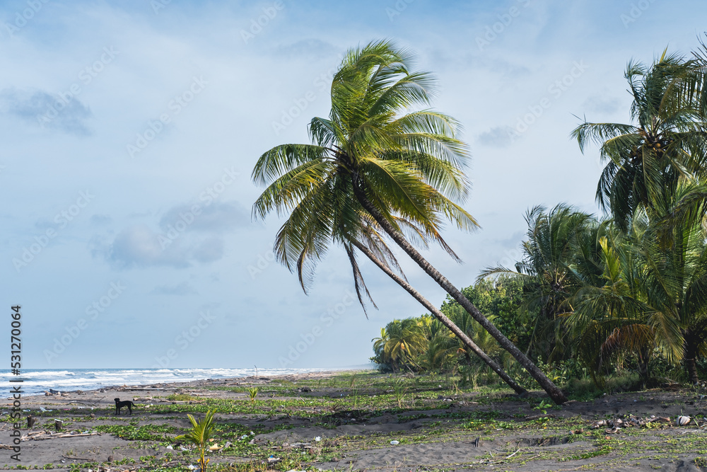 caribe
