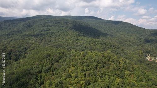 Fototapeta Naklejka Na Ścianę i Meble -  forest in the mountains