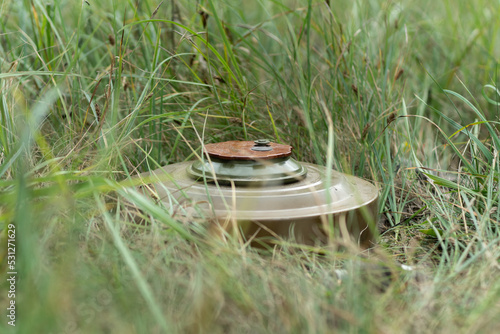 Anti-tank mine hidden in the grass in the minefield, close-up. photo