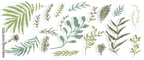 Hand drawn colorful plant set - universally usable. Botanical, chic and trendy plants. Hand drawn lines, elegant leaves for your own design. Flower branch and minimalistic modern plants.