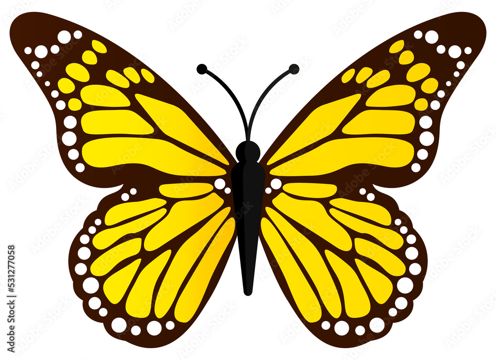 Fototapeta premium Beautiful yellow butterfly