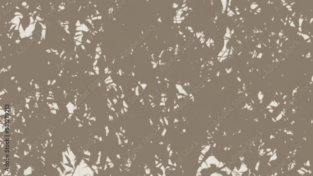 Shadow of wind in the tree leaves on the wall loopable background. 3d render Shadow of wind in the tree leaves on the wall loopable background. 3d render