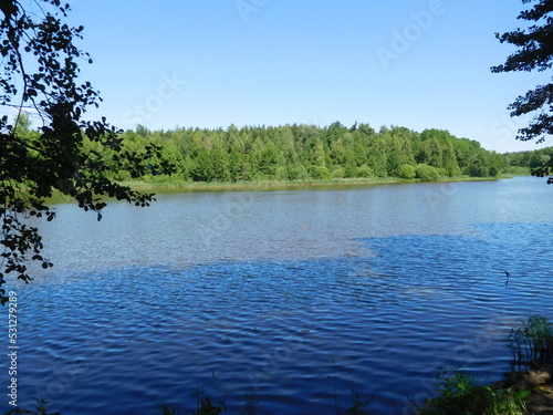 lake in the forest