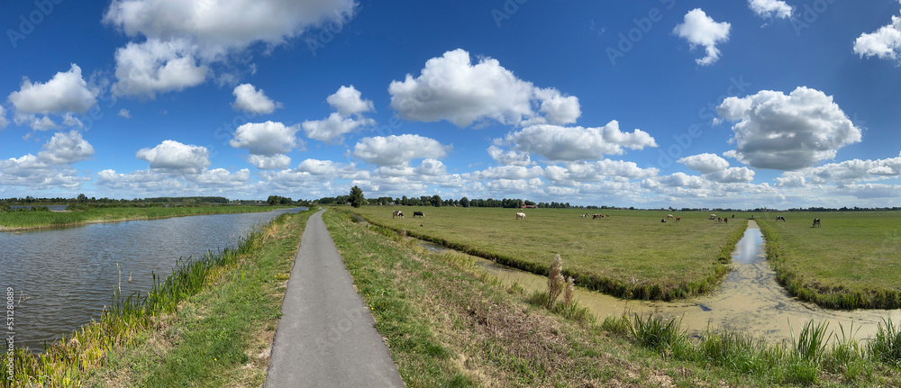 Panorama from cows in the meadow around IJlst