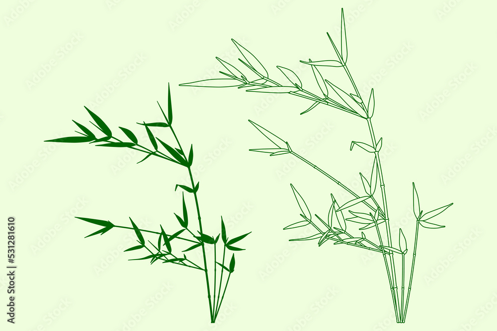 Naklejka premium Green bamboo plant. Outline and silhouette bamboo branches. Vector illustration