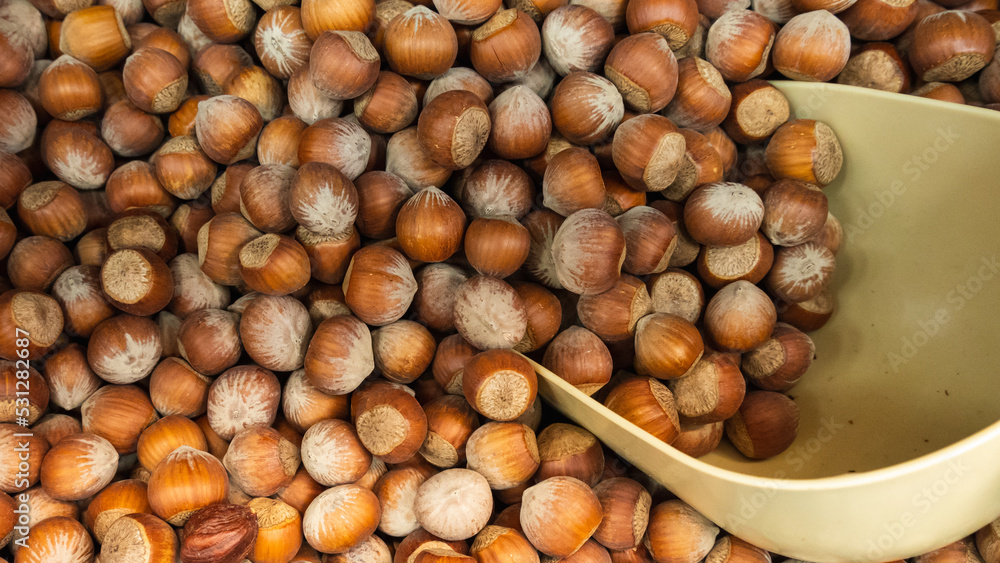 hazelnuts in a box with a scoop hazelnuts in a box with a scoop