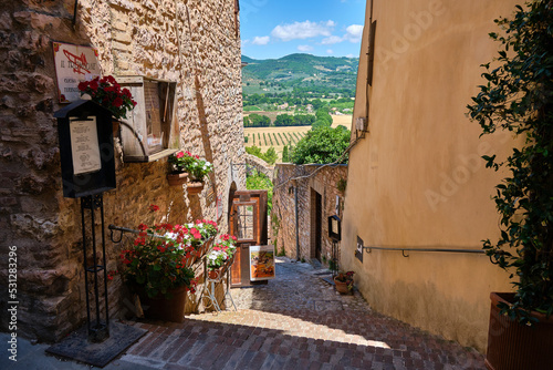 Fototapeta Naklejka Na Ścianę i Meble -  street in the medieval village of spello, umbria, italy