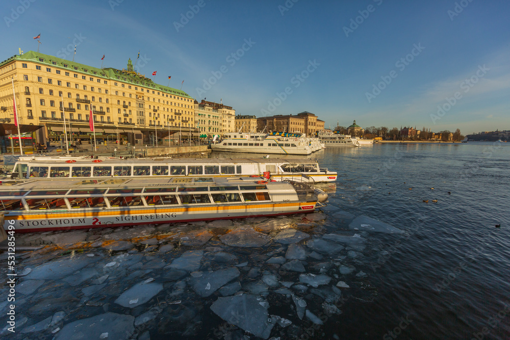 Stockholm. Frozen bay with ducks, swans and geese. Ice cold in Sweden