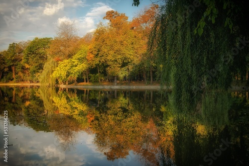 Trees reflections in a lake. Colorful autumn landscape