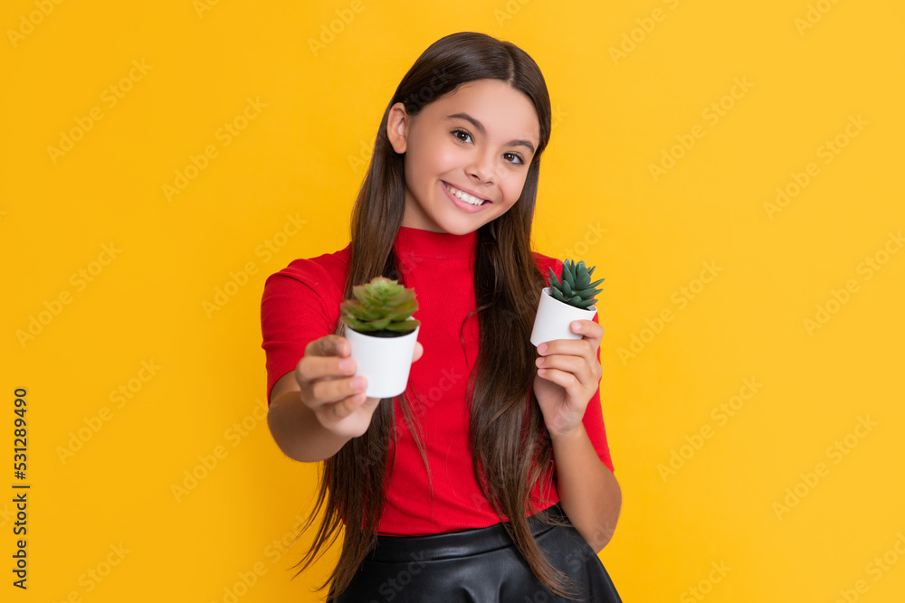 happy child with cactus plant in pot on yellow background