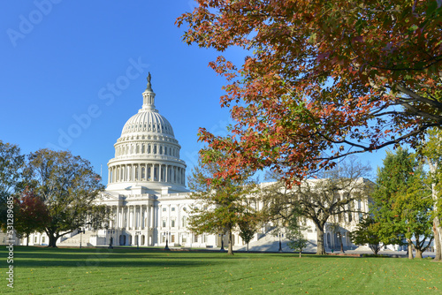 US Capitol building and autumn foliage - Washington DC United States